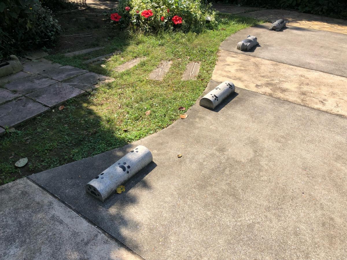 ドッグメディカル 若山動物病院 佐倉市石川