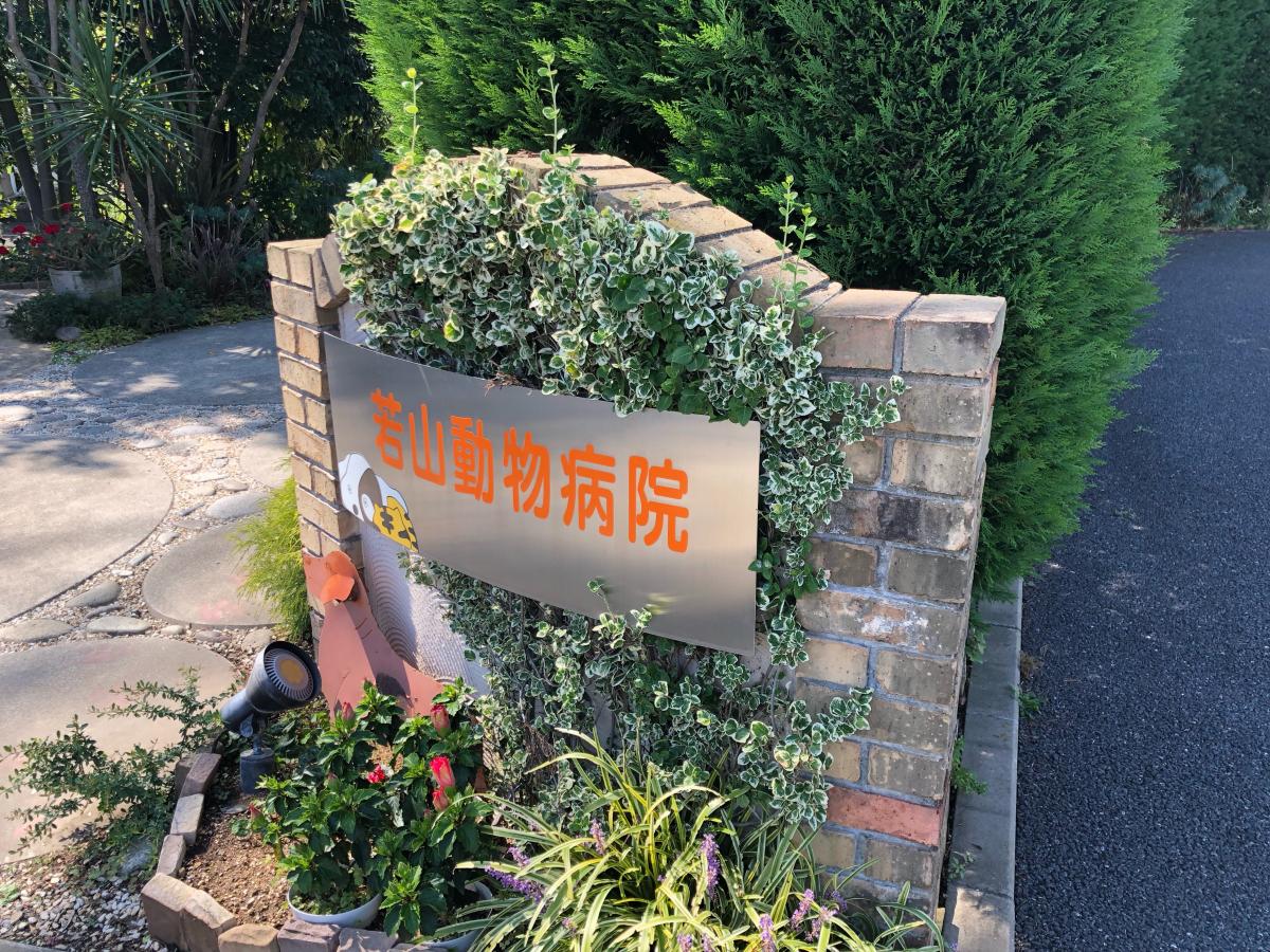 ドッグメディカル 若山動物病院 佐倉市石川