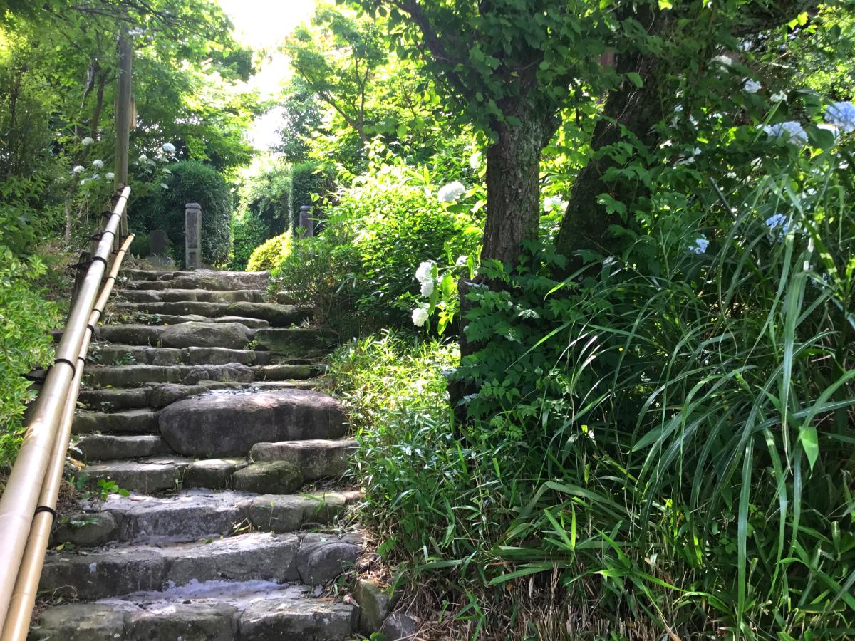 クックドア 茶花 福岡県