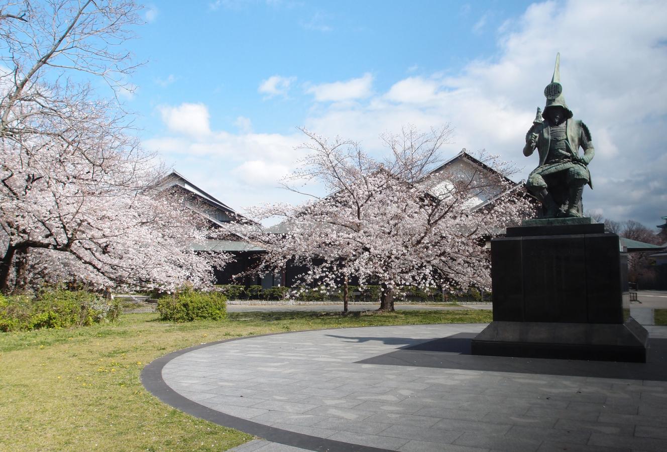 名古屋能楽堂と清正公と桜です